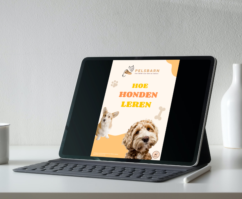 CADEAU: Hondenboek: hoe leren honden