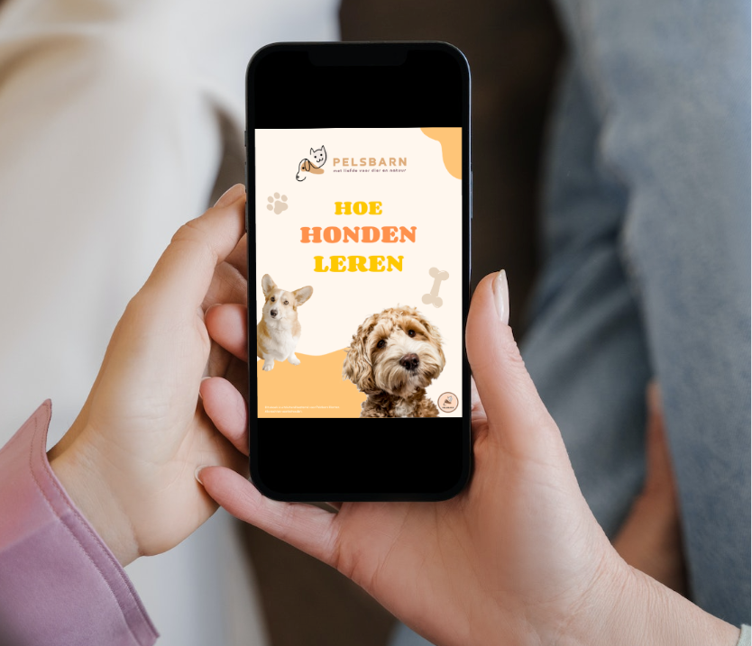 CADEAU: Hondenboek: hoe leren honden