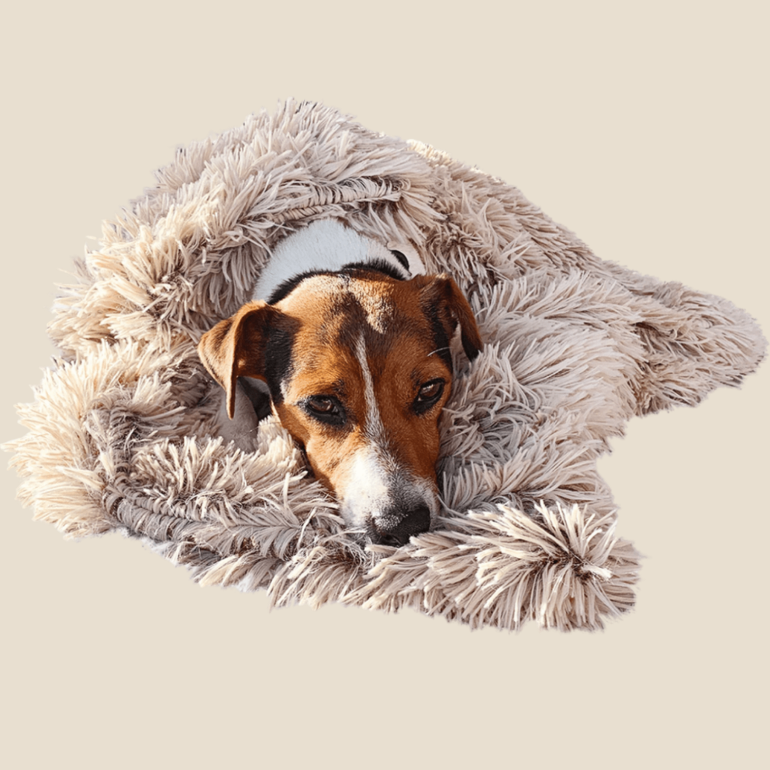 Comfortabel fluffy deken (fluweel zacht structuur)
